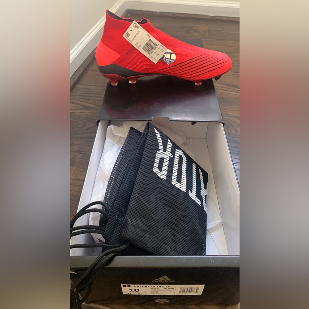 Predators 19+